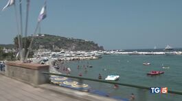 Tornano i 40 gradi Pesce? Cibo di lusso thumbnail