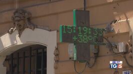 Torna il gran caldo, temperature fino a 38° thumbnail