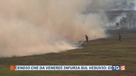 Vesuvio, danni e cenere. Colata lavica sull'Etna thumbnail