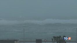 Molti tornano dopo un'estate tormentata thumbnail