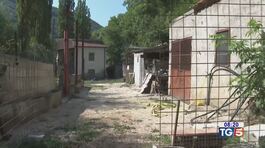 Sepolta da una anno indagato il genero thumbnail
