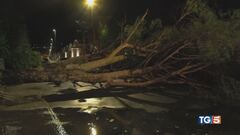 Maltempo senza sosta nubifragi, vento, danni