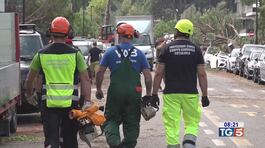 Romagna al lavoro spiagge già riaperte thumbnail