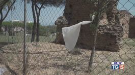Stupro Tor Tre Teste: violentata altra donna thumbnail