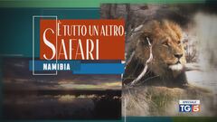 Speciale Tg5 - È tutto un altro safari Namibia