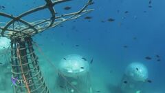 Mare: tra innovazione e tradizione