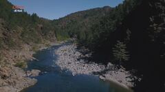 Puntata del 15 giugno