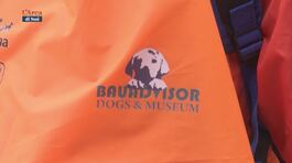 Pet-turismo culturale thumbnail