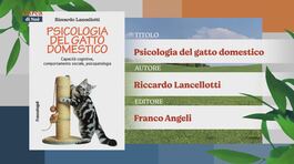 Il Can-Piello thumbnail