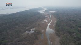 Il Parco Delta del Po thumbnail