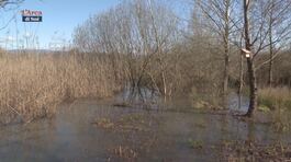 Riserva Naturale Lago di Sibolla thumbnail