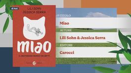 Il Can-piello thumbnail