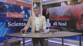 L'angolo della scienza: l'effetto serra thumbnail