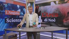 L'angolo della scienza: l'effetto serra