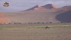 Safari responsabile - Terza parte
