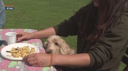 L'Educa-cani thumbnail