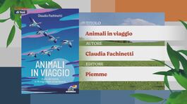 Il Can-piello thumbnail