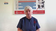 I consigli del veterinario