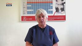 I consigli del veterinario thumbnail