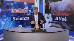 L'angolo della scienza
