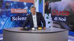 L'angolo della scienza