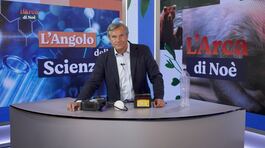 L'angolo della scienza thumbnail