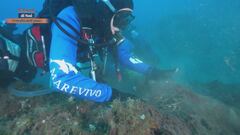 Le iniziative di Marevivo