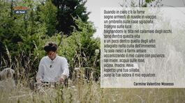Il poeta contadino thumbnail
