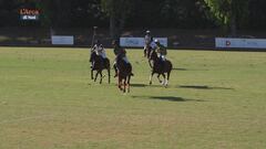 Cavallo atleta