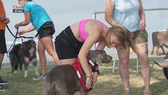 L'educa-cani: cani cross