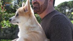 Il Corgy