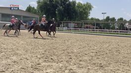 Cavallo atleta thumbnail