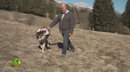 Agriturismo familiare thumbnail