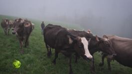 Agriturismo Cascina Didì thumbnail