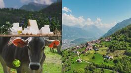 Allevare con rispetto per gli animali thumbnail