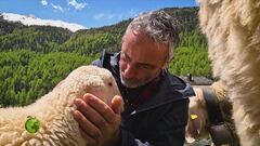 La Val Senales, tra antichi granai e allevamenti di pecore