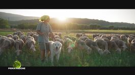Parco della Maremma thumbnail