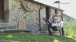 L'azienda agricola Cattaneo thumbnail