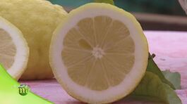Il limone di Amalfi thumbnail
