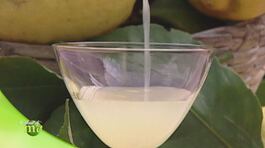 Il limoncello thumbnail