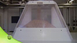 Il procedimento di macinazione del grano thumbnail