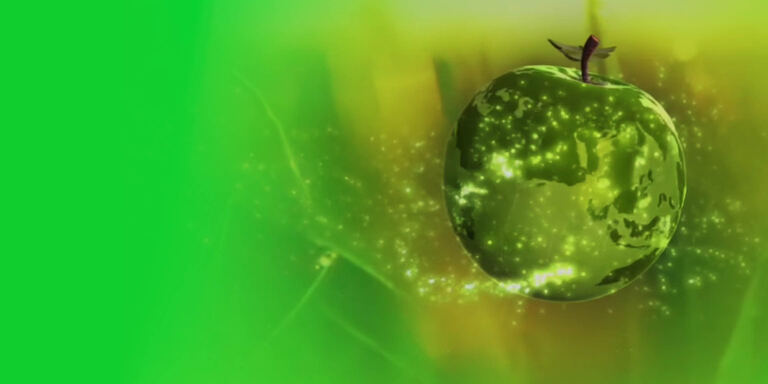 Canale 5 Melaverde - Le storie