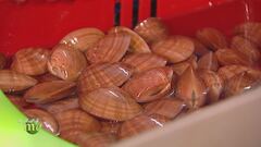 I frutti di mare