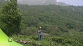 Terra di Valleè thumbnail