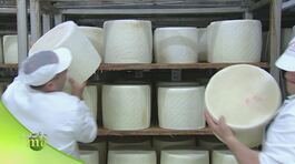 La produzione del pecorino romano thumbnail