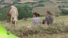 Antico podere