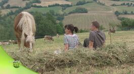 Antico podere thumbnail
