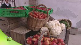 Economia agricola familiare thumbnail