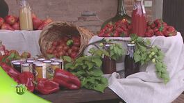 Azienda Agricola Pisaroni "Cascina Pizzavacca" thumbnail