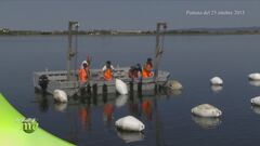 Coltivatori di mare